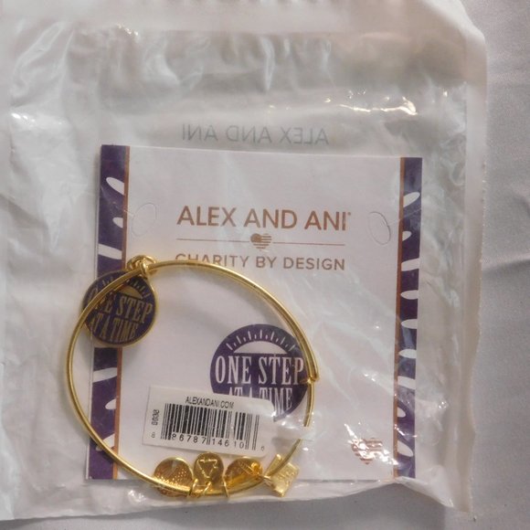 Alex and Ani One Step At A Time Bracelet NEW - Picture 1 of 4